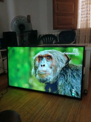Smart TV TD Systems Android 50 Wifi