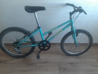 Bicicleta Rockrider 20 Infantil