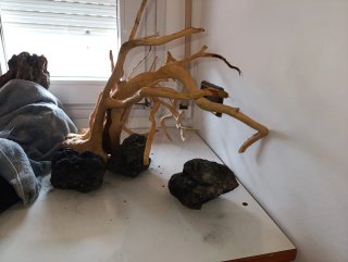 Decoración acuario árbol, roca, troncos