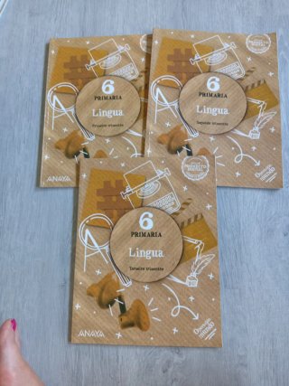Lingua, 6 Primaria, Operación mundo