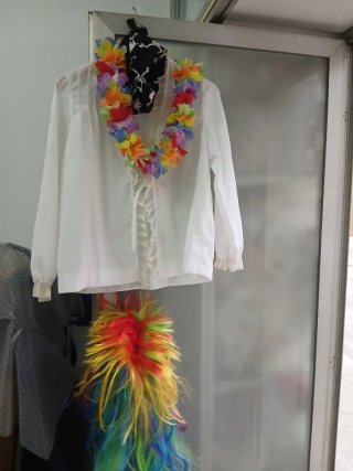 Lote de accesorios de carnaval