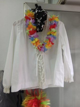 Lote de accesorios de carnaval