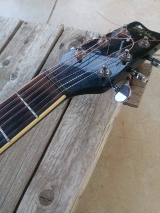 Guitarra Washburn D10B Negra