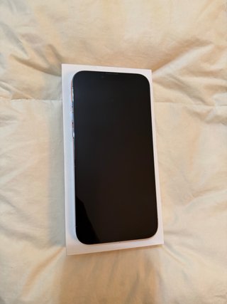 iPhone 13 Pro Max Blu Argento