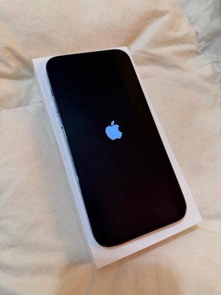 iPhone 13 Pro Max Blu Argento