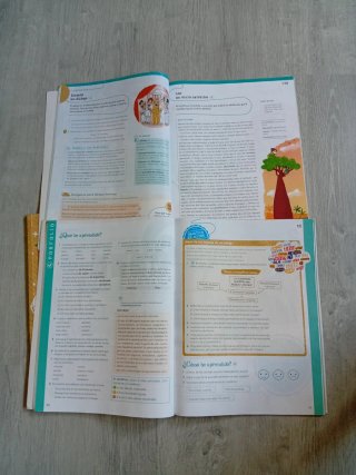 Lengua 6 Primaria : Operación Mundo