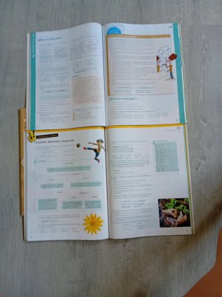 Lengua 6 Primaria : Operación Mundo