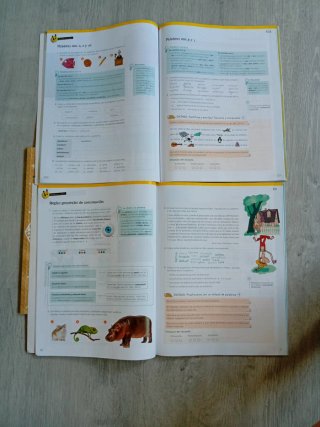 Lengua 6 Primaria : Operación Mundo