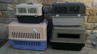 Transportines Grandes para Mascotas