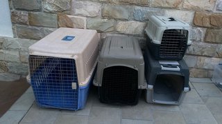 Transportines Grandes para Mascotas