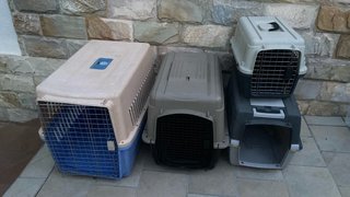 Transportines Grandes para Mascotas
