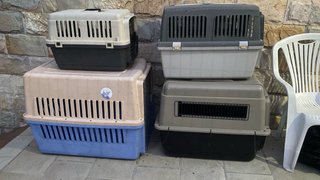 Transportines Grandes para Mascotas