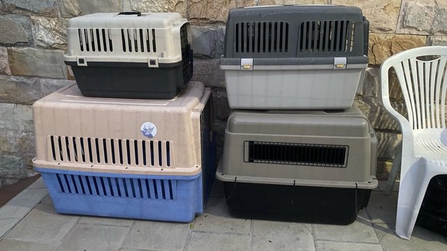 Transportines Grandes para Mascotas