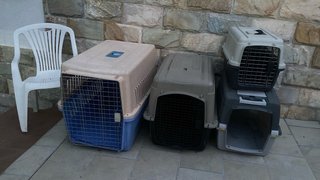 Transportines Grandes para Mascotas