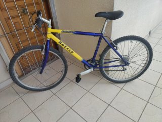 Bicicleta Razesa Delta Plus 26