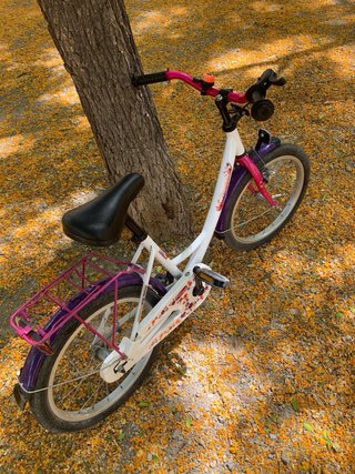 Bicicleta Infantil Vermont 16” Rosa y Blanca
