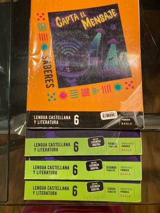 Lengua Castellana y Literatura 6o De primaria