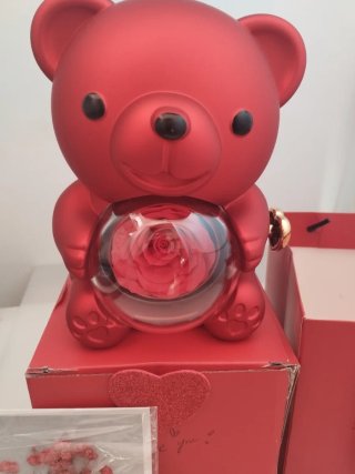 Oso Rojo con Rosa Eterna