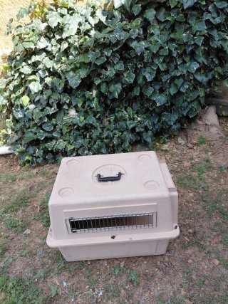 Remolque perros caza