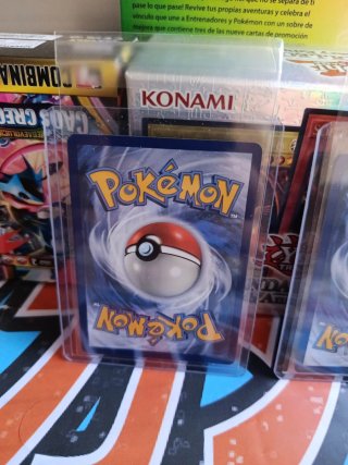 Cartas Pokémon primer compañero serie 1