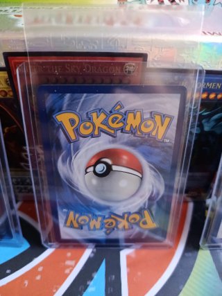 Cartas Pokémon primer compañero serie 1