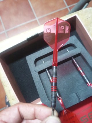 Dardos Profesionales Tungsteno