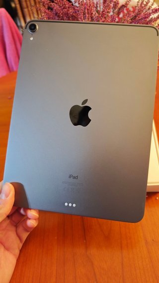 iPad Pro 11 1a Gen 256GB Wifi Argento + Custodia