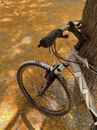 Bicicleta MTB Raptor 26” aluminio – susp delantera