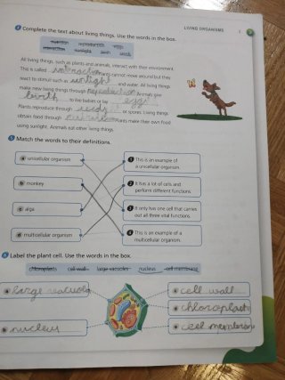 Natural Science, 3 Primary, Outside the Box, By...