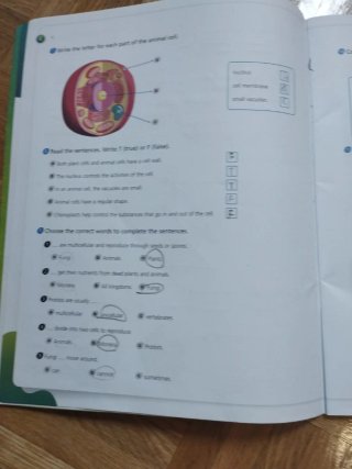 Natural Science, 3 Primary, Outside the Box, By...