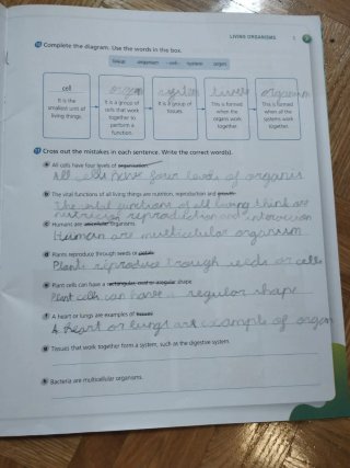 Natural Science, 3 Primary, Outside the Box, By...
