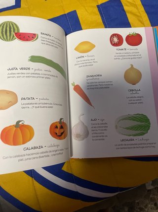 Mi primer diccionario en imágenes. Aprender leer..