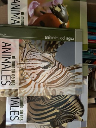 Caja con un conjunto de libros de temática variada