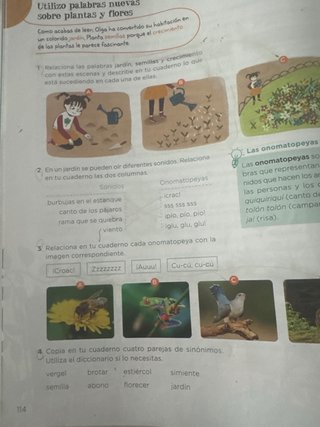 Anaya 3 primaria libro