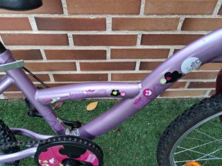 Bici 20 pulgadas 6-8 años