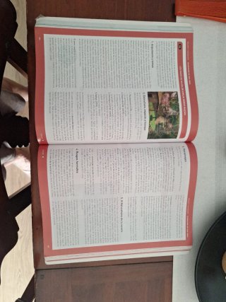 Lengua castellana y literatura 2, Le Bachillerato
