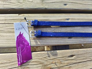 CORREAS ESPUELA BRILLANTES PURPURINA NUEVAS ENVIO