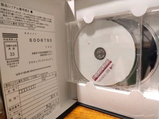 Discipline - The Record of a Crusade PC Big Box