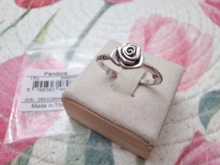 Anillo Rosa Floreciendo