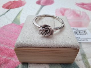 Anillo Rosa Floreciendo