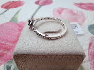 Anillo Rosa Floreciendo