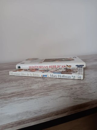 Lote Historias Bíblicas y Mi Primer Libro Biblia