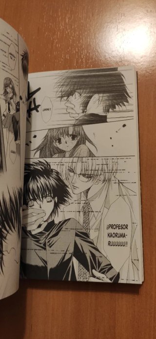 Colección manga Cadenas de pasión completa 2005