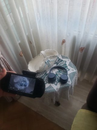 Cámara PSP 450 X