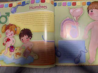 Libros salud : ¿cómo nacemos?