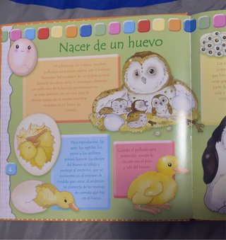 Libros salud : ¿cómo nacemos?