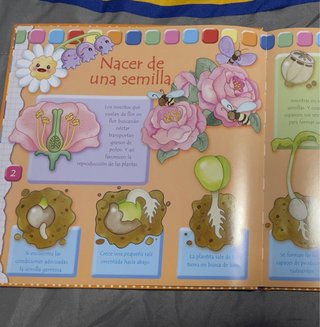 Libros salud : ¿cómo nacemos?
