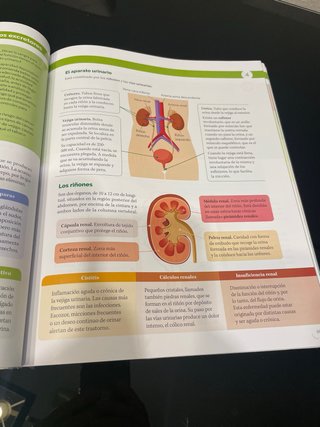 BIOLOGIA Y GEOLOGIA MADRID 3 ESO CONSTRUYENDO M..