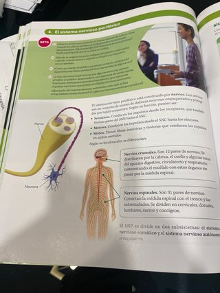 BIOLOGIA Y GEOLOGIA MADRID 3 ESO CONSTRUYENDO M..