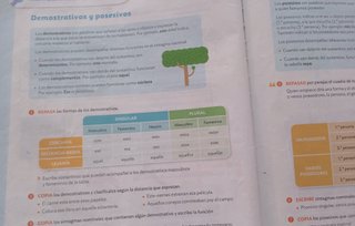 Matemáticas 6 Primaria